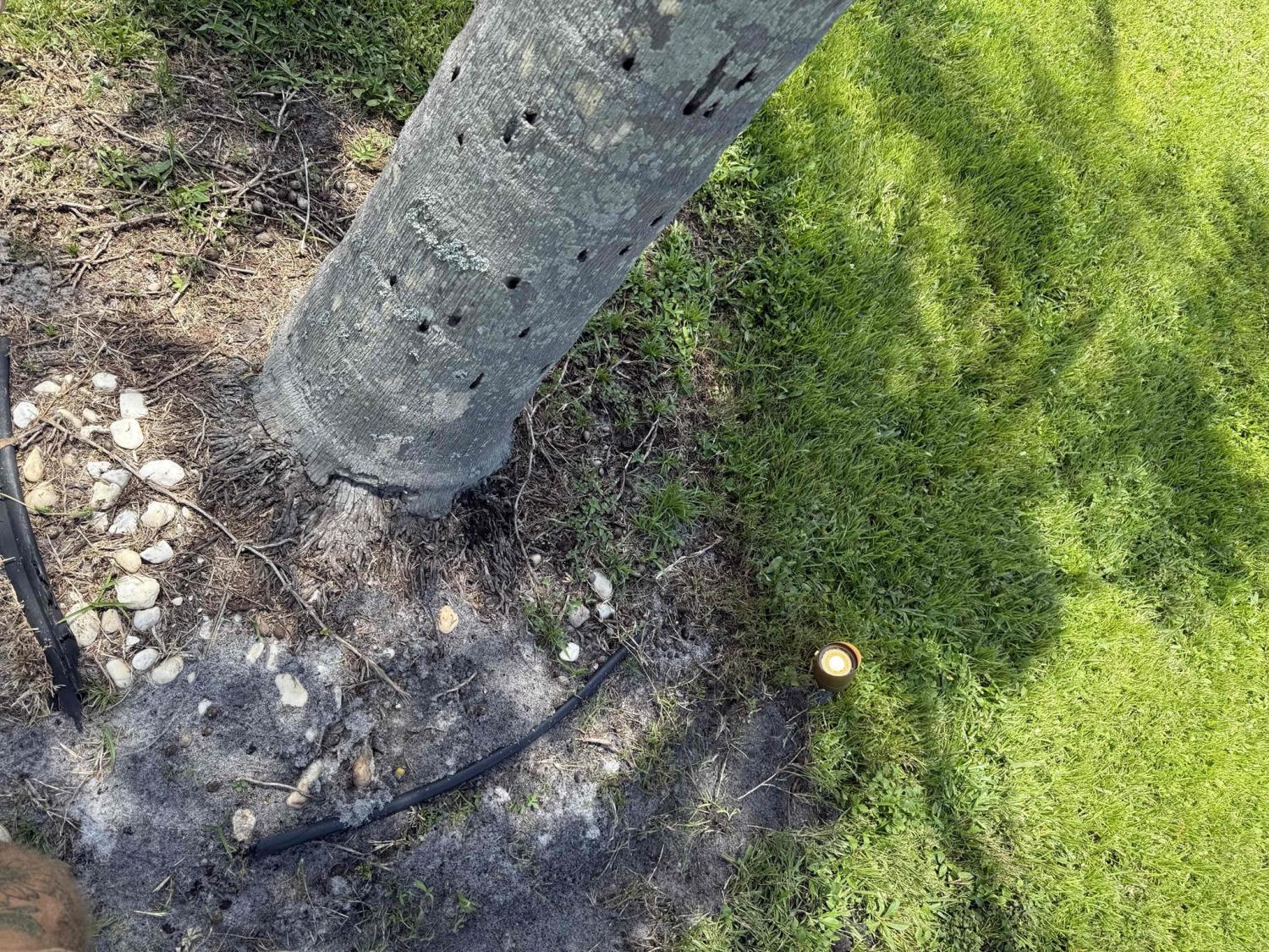 Landscape Lighting Residential Electrical Outdoor Lighting & Interior Electrical Upgrades – Bonita Springs, FL