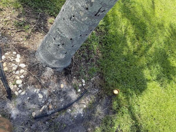 Outdoor Lighting & Interior Electrical Upgrades – Bonita Springs, FL