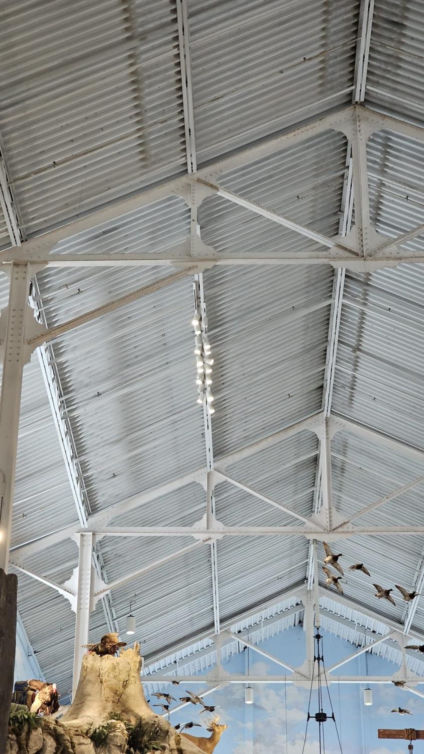 Fort Myers FL Projects Lighting Control Lighting Installatio Time Clock Installation for Fish Tank Display Lighting – Fort Myers, FL